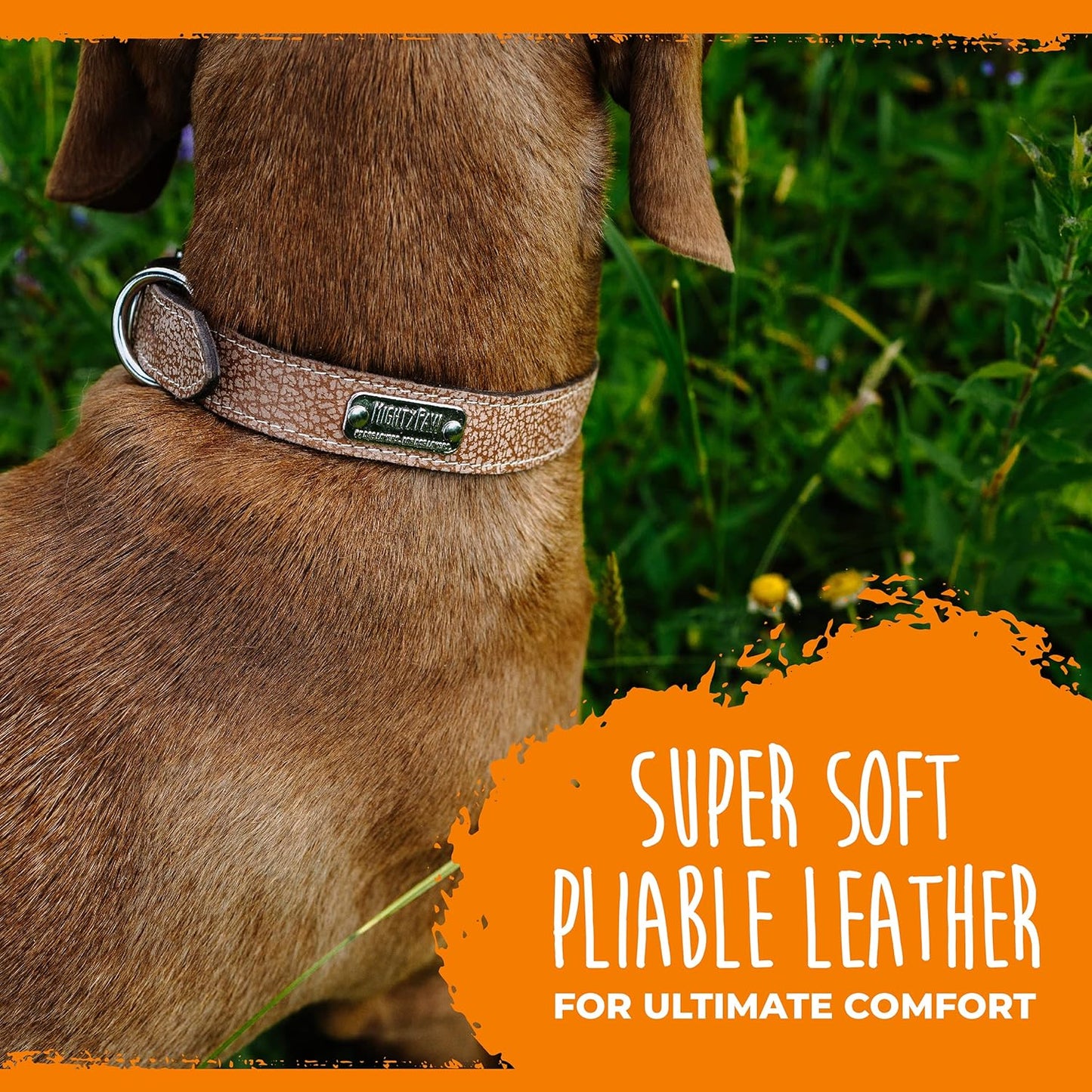 Leather Dog Collar - Genuine Distressed Leather - Strong Metal Buckle - Ultimate Comfort - Modern Style for All Dogs Breeds - Comfort Puppy Collar - (Small - Lite Brown)