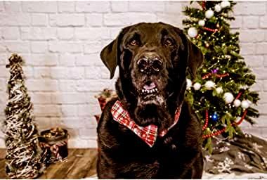 Christmas Plaid Dog Collar Adjustable Soft Dog Collar with Bowtie, Pet Gift Dog Collars Bow for Small Medium Large Dogs